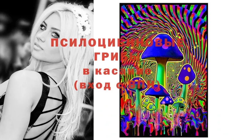 Псилоцибиновые грибы Psilocybine cubensis  Белая Холуница 